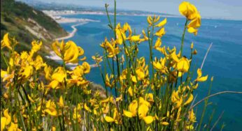 Marche, al via “Il silenzio e le forme”: 300 opere immerse nella suggestione naturale